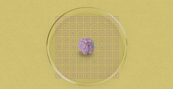 Imagine an innovative experiment where human brain cells grown as organoids were connected to a computer chip, Also, we need to think about digital health founders , which are emphasizing the importance of user-centered design and robust data security.