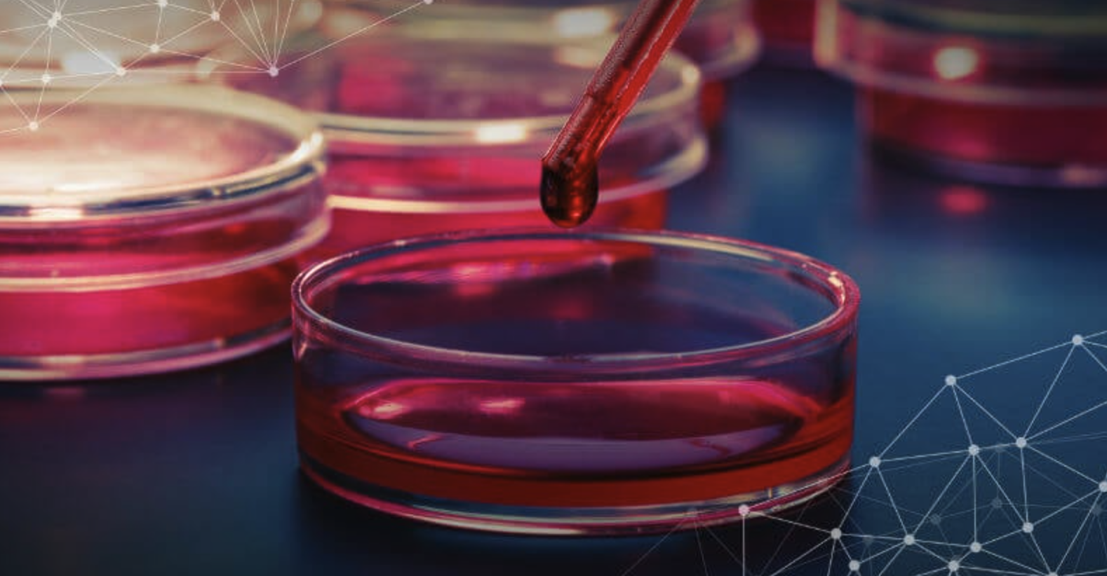 Where's the Synthetic Blood?