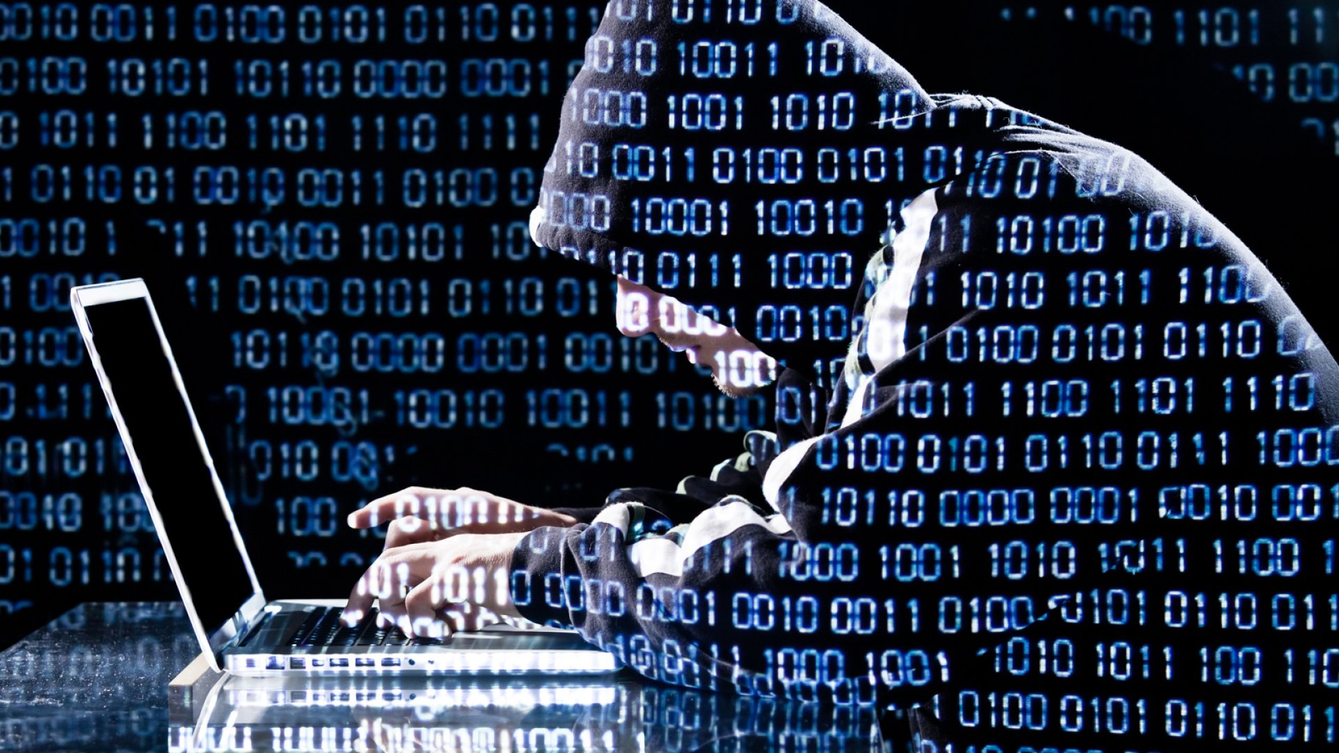 Pepijn Van der Stap, a young Dutch cybersecurity prodigy turned cybercriminal , amassed vast troves of stolen data