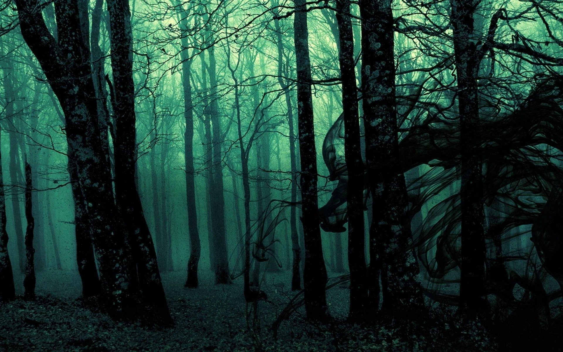 “Against the Dark Forest” critiques the metaphor of the “Dark Internet Forest,”