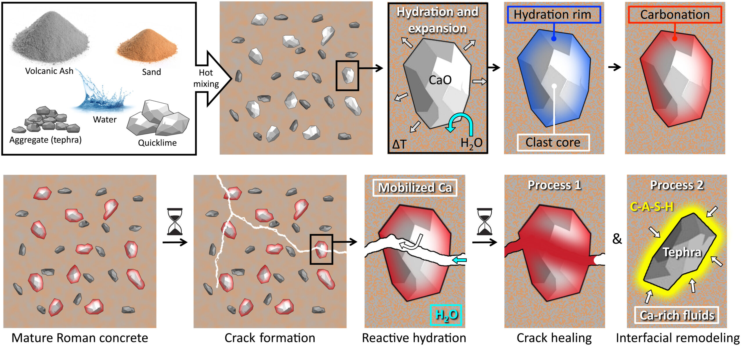 The Science Advances investigates why ancient Roman concrete has remained durable